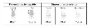 MSO-SE-304-2.webp